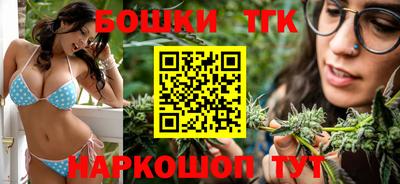 стаф Новодвинск