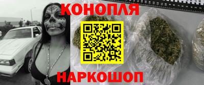 ешки Новозыбков