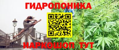 винт Обнинск