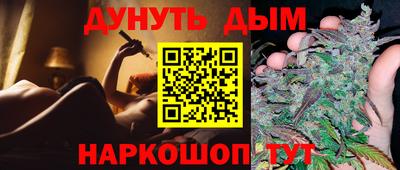 стаф Новодвинск