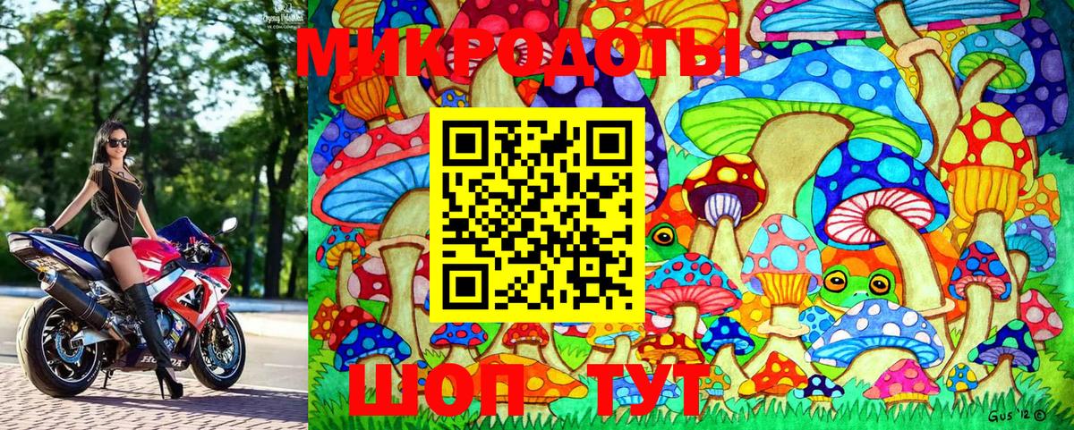 Псилоцибиновые грибы MAGIC MUSHROOMS Северск
