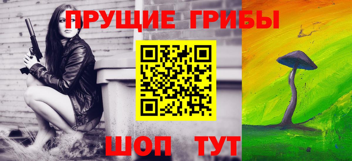 Галлюциногенные грибы MAGIC MUSHROOMS  Вход с VPN  Галлюциногенные грибы ЛСД  Северск 